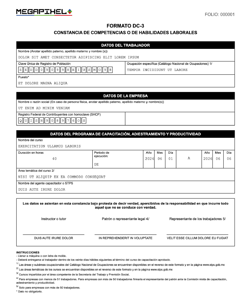 Ejemplo de Formato DC-3 Generado